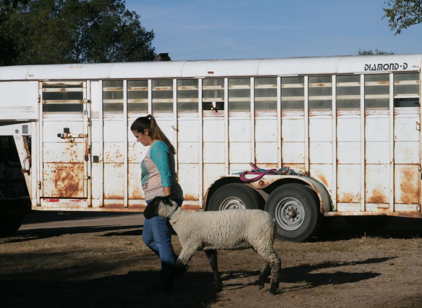 The Country Life Wishing Star Farm East Of Colorado Springs Rebounds After Devastating Attacks Lifestyle Gazette Com