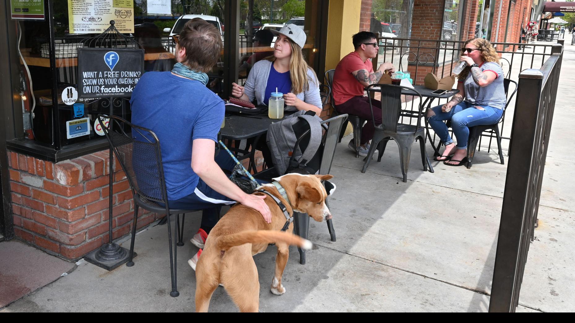 are dogs allowed in colorado restaurants