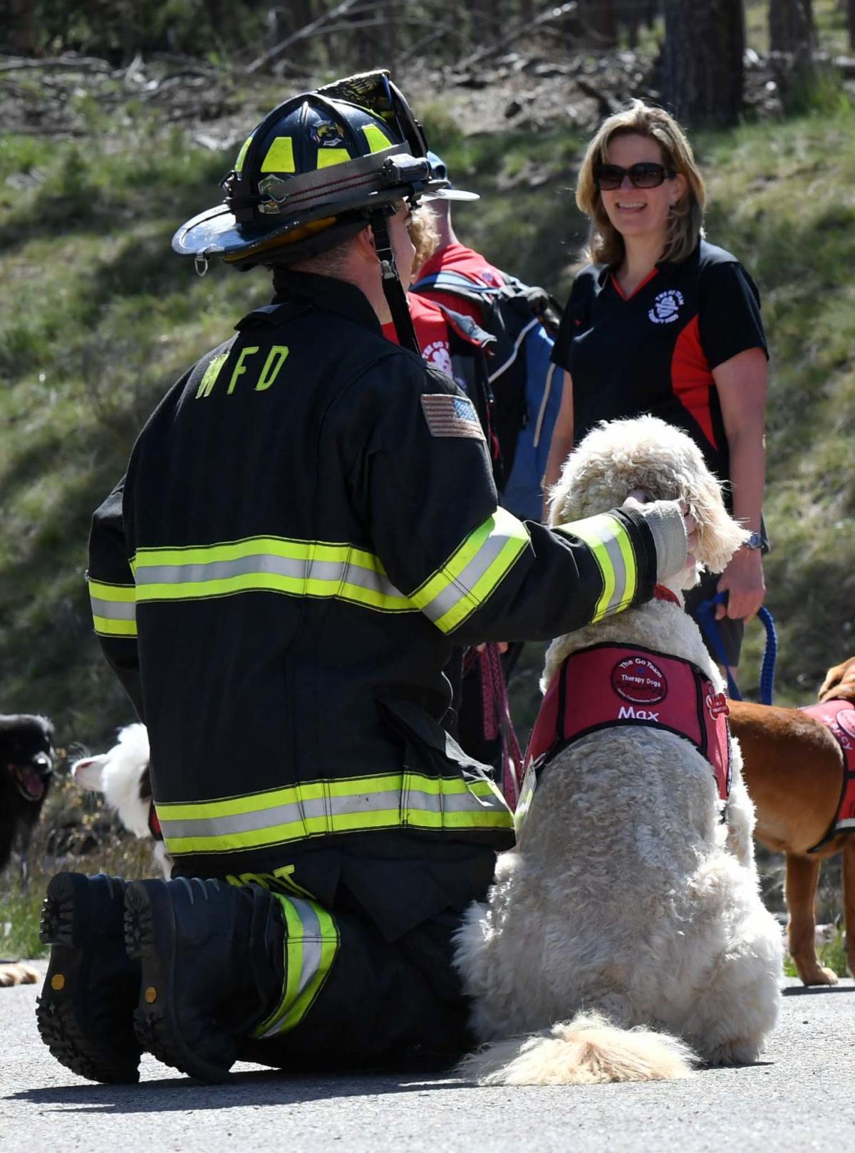 062319-life-therapy-dogs 40.JPG