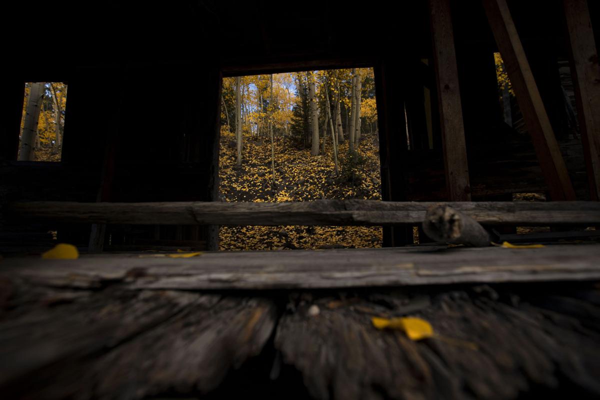 100219-news-fallcolors 07
