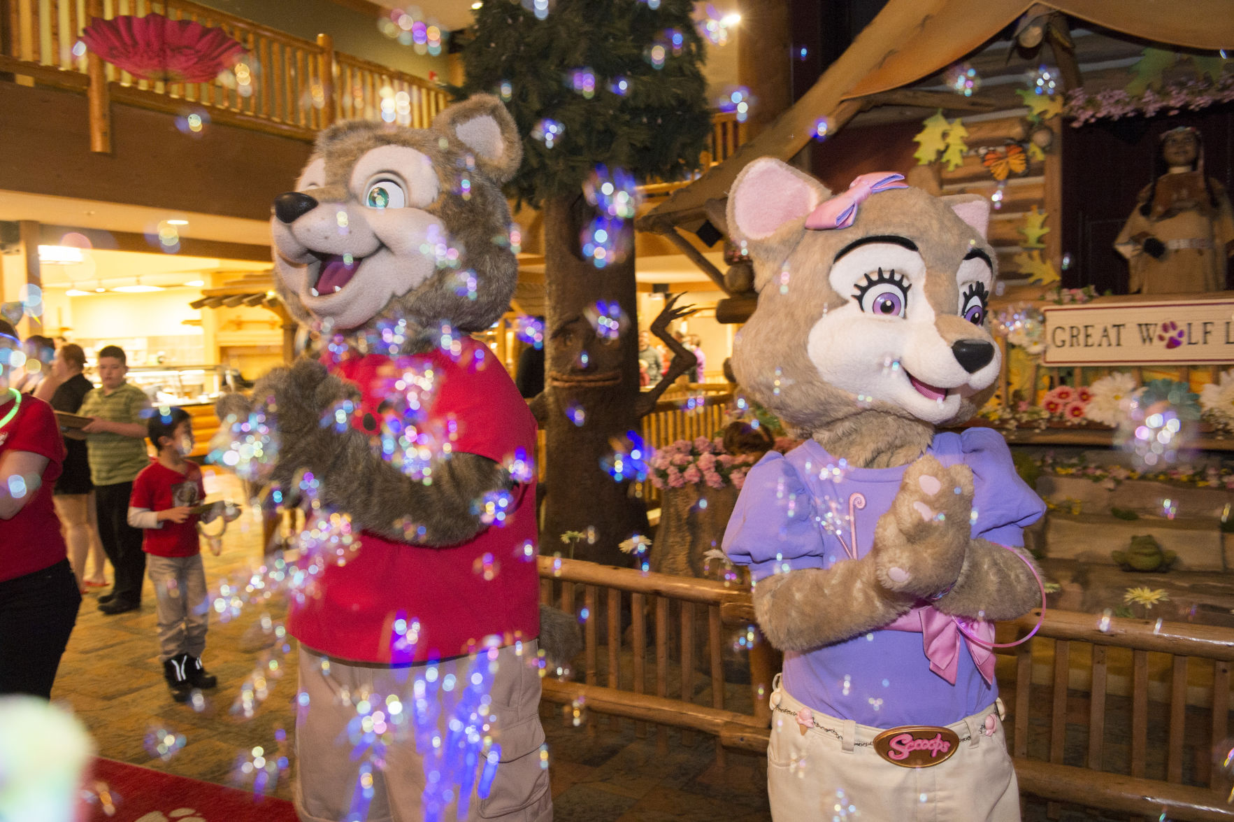 Great Wolf Lodge Tips | 10 Things to Know Before you Visit!