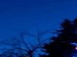 Our Pick Blossoms Of Light And Trail Of Lights At Denver Botanic Gardens Colorado Springs News Gazette Com This is a nice easy trail around the denver botanic gardens at chatfield. denver botanic gardens