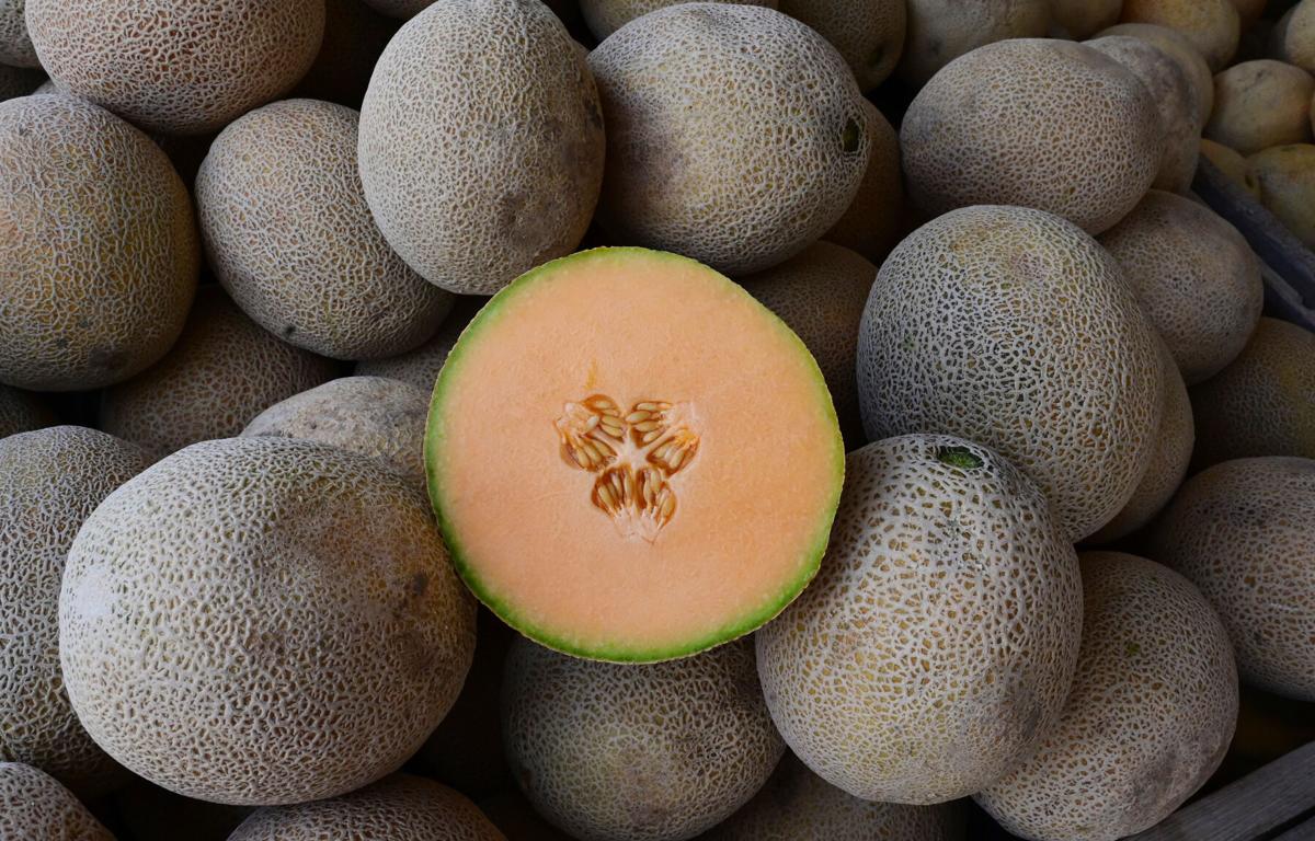 How Rocky Ford melons in Colorado have world famous Lifestyle