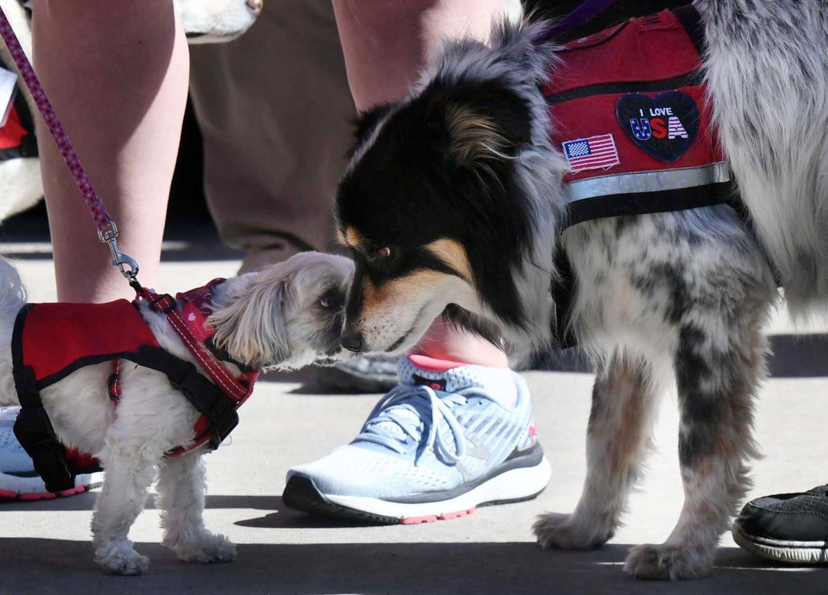 062319-life-therapy-dogs 44.JPG