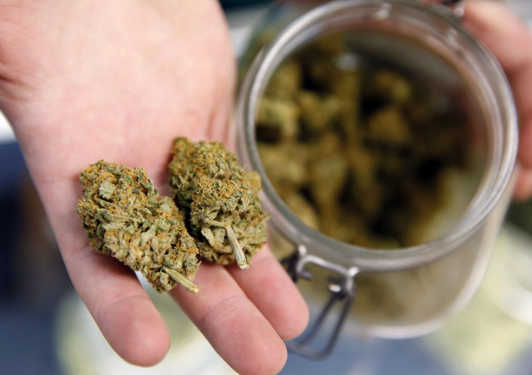 gazette.com - Mary Shinn - Colorado Springs City Council, Mayor Mobolade at odds over marijuana tax revenues
