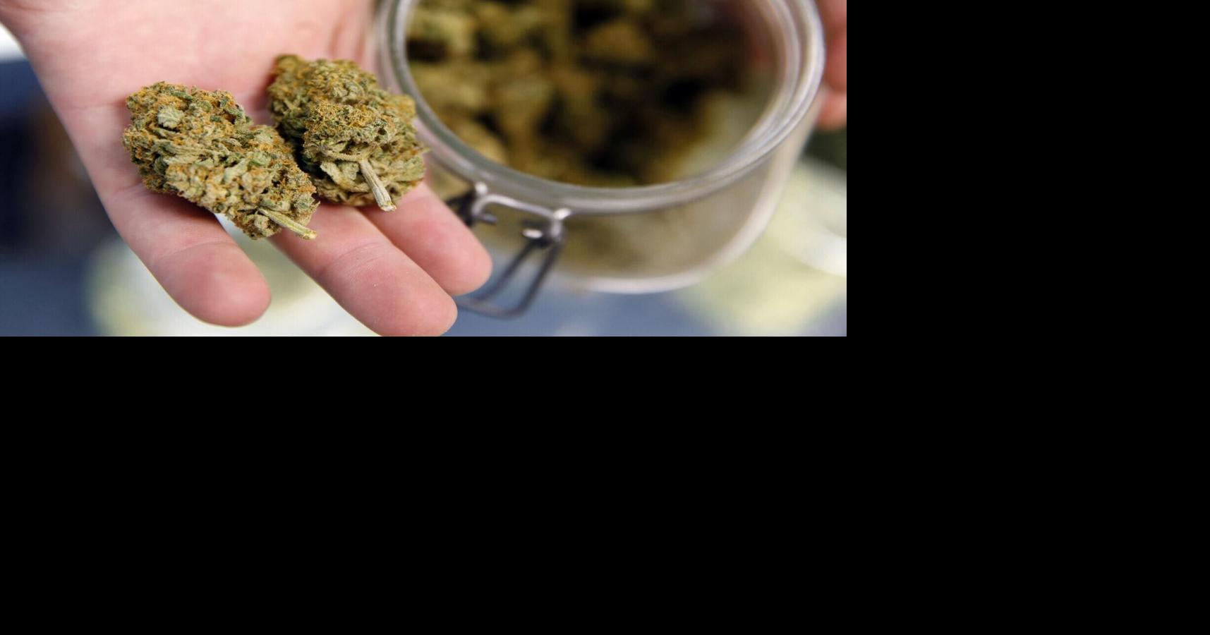 Colorado Springs City Council, Mayor Mobolade at odds over marijuana tax revenues
