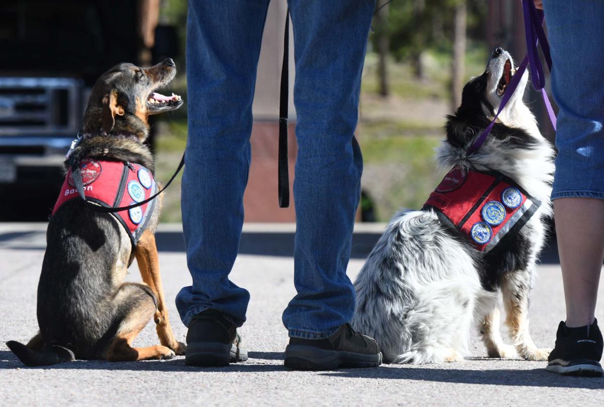 062319-life-therapy-dogs 45.JPG