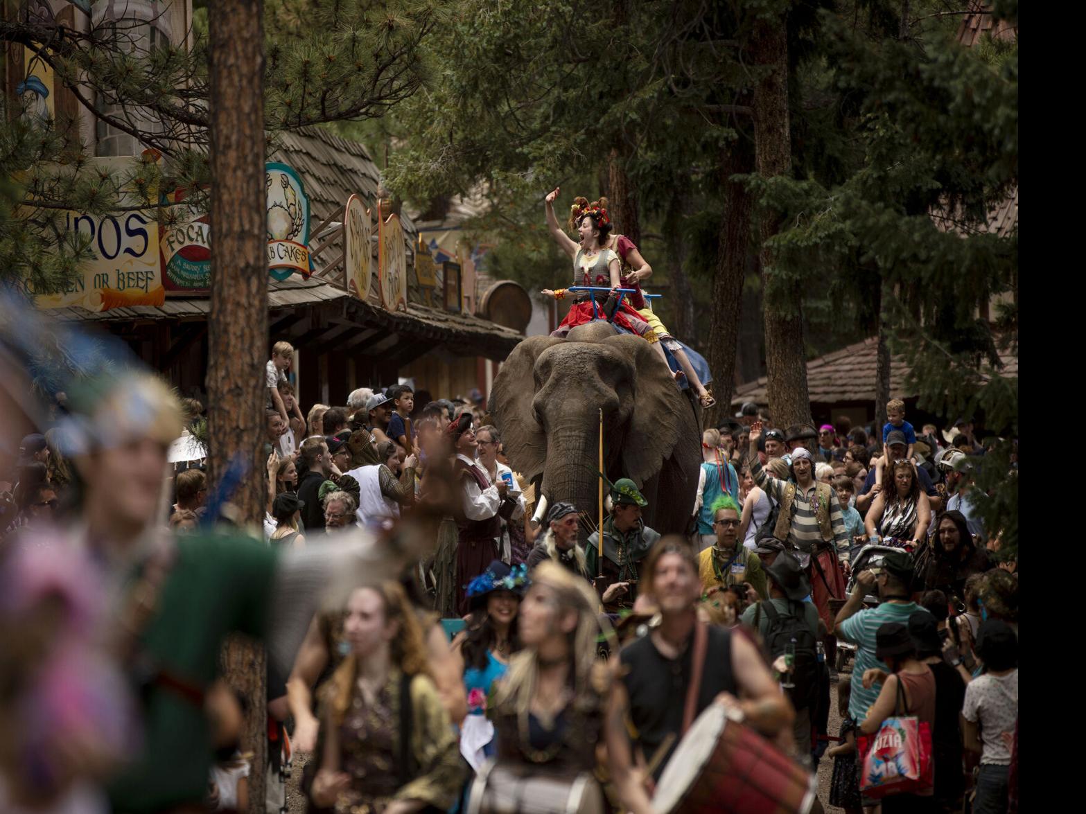 are dogs allowed at the colorado renaissance festival