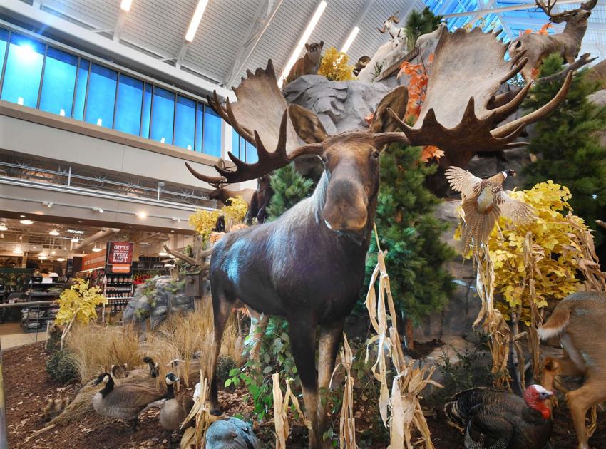 Scheels clears first step for 16.2 million incentives for north
