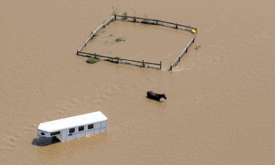 Harvey