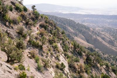 palisade plunge 2.jpg (copy)