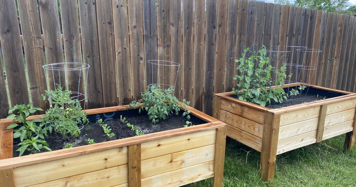 Year-round gardening: 10 things for your gardening checklist during May in Colorado | Lifestyle Year-round gardening: 10 things for your gardening checklist during May in Colorado | Lifestyle