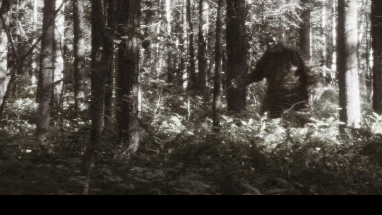 Is Bigfoot hiding in northwest New Mexico?
