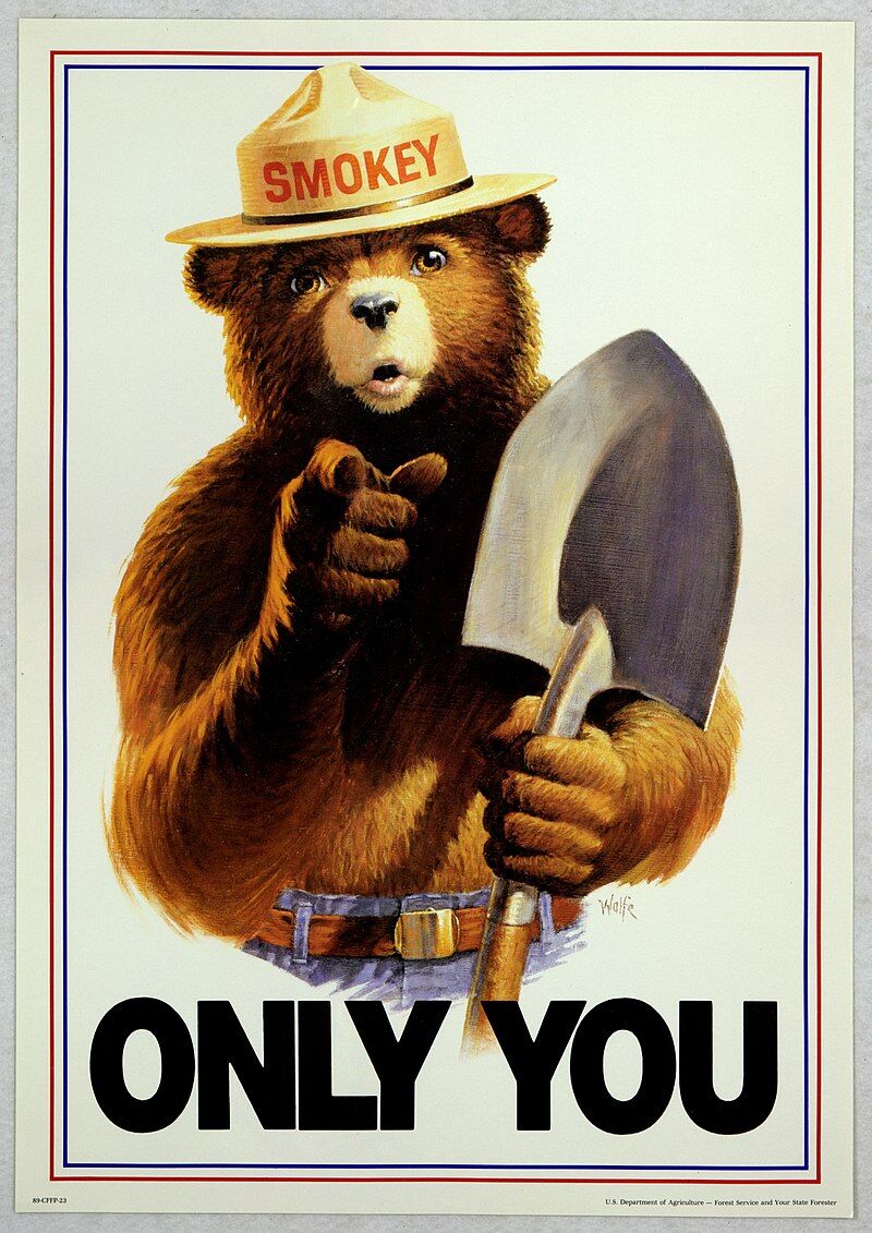 Modern Postcard Fox Raccoon etc Ad Details about   Smokey Bear Only You Can Prevent Wildfires 