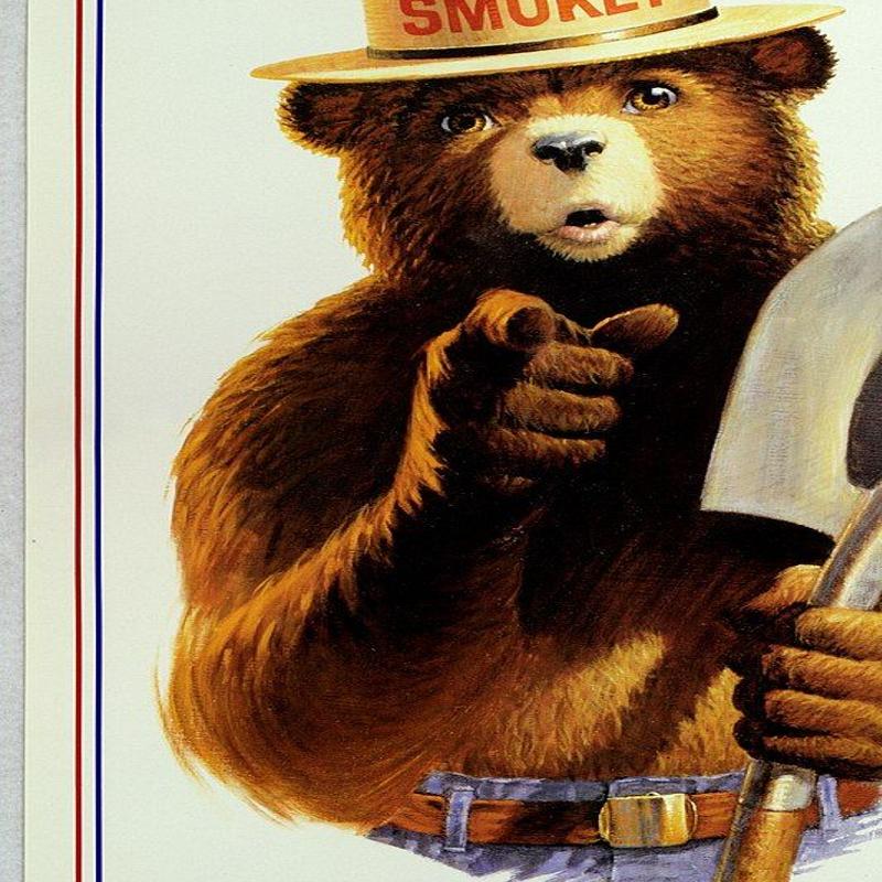 Only You Can Prevent Wildfires From The Editor Thetribune Gazette Com Hide xenforo bbcode code, php, html from guests and not valid users. only you can prevent wildfires from