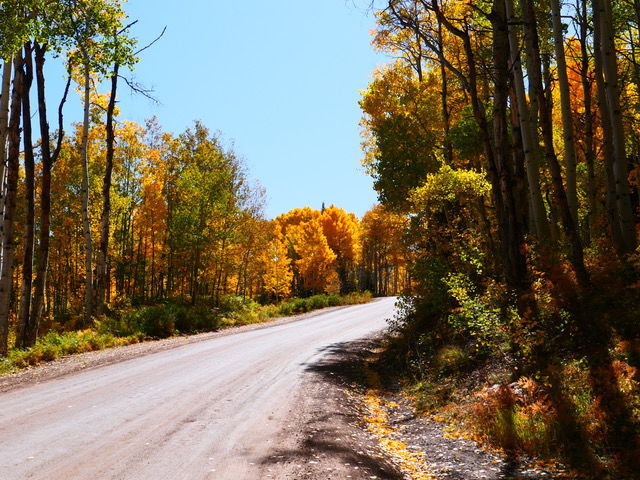 Autumn landscapes | Pikes Peak Courier | gazette.com