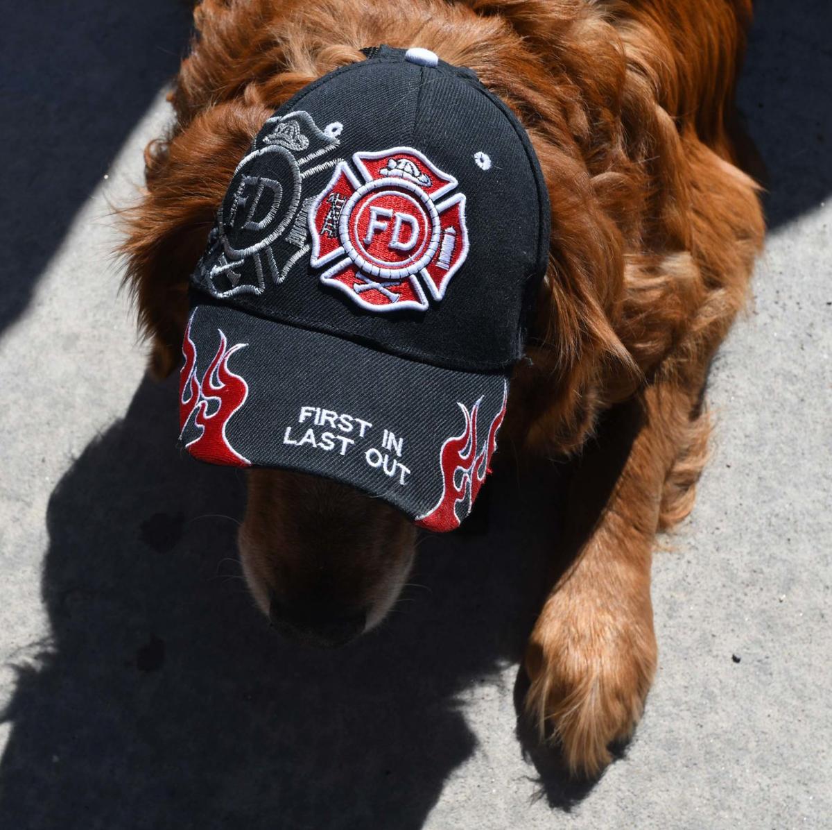 062319-life-therapy-dogs 53.JPG
