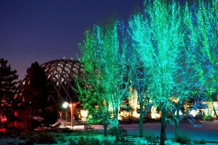 Our Pick Blossoms Of Light And Trail Of Lights At Denver Botanic Gardens Colorado Springs News Gazette Com