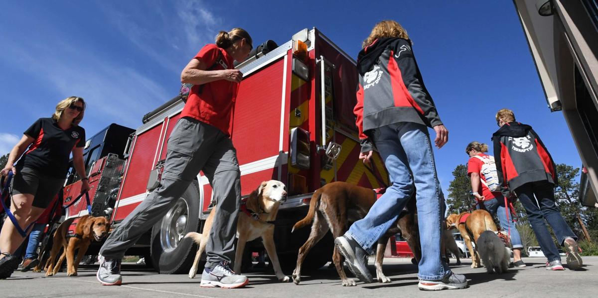 062319-life-therapy-dogs 57.JPG