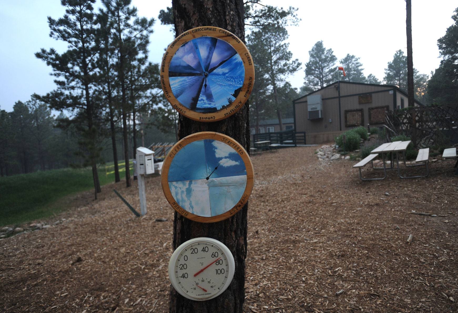 A reson the schools survived Campuses feared lost in Black Forest