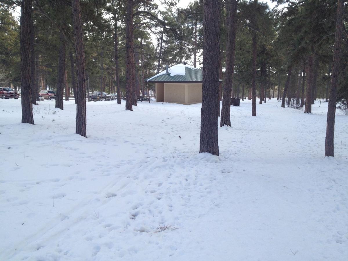 Take A Hike Fox Run And Black Forest Parks Offer Easy Hiking Plus