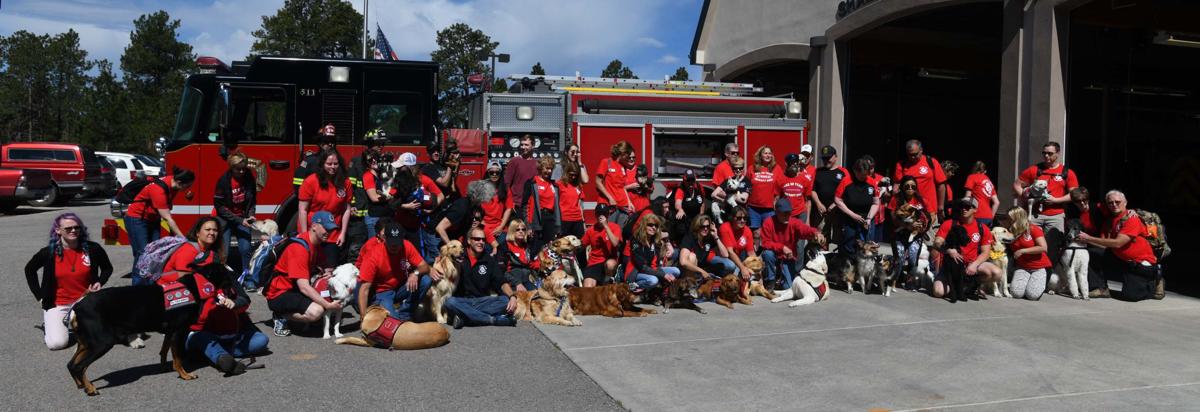 062319-life-therapy-dogs 59.JPG