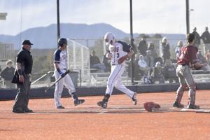 Lewis-Palmer, TCA clinch state baseball berths; Falcon-Cheyenne Mountain postponed