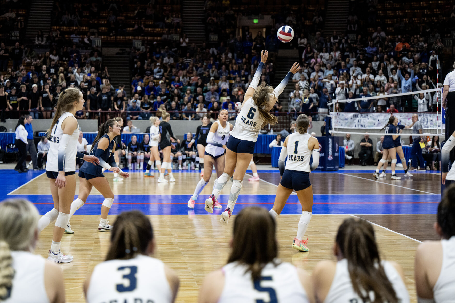 PHOTOS: Palmer Ridge Defeats Thompson Valley In 4A State Volleyball ...