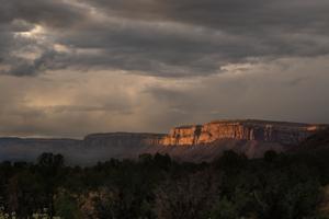 featured-image