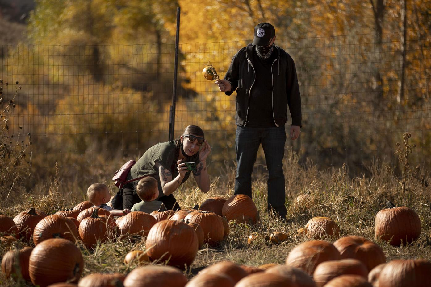 long neck pumpkin patch colorado springs