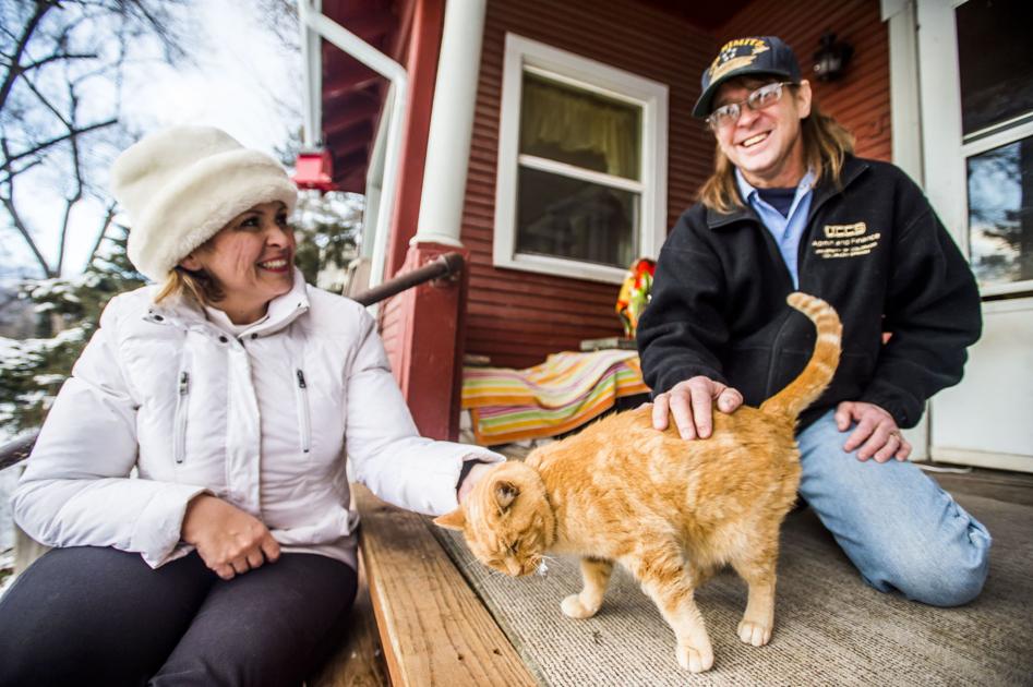 felines nothing more than felines colorado springs news felines nothing more than felines colorado springs news gazette com