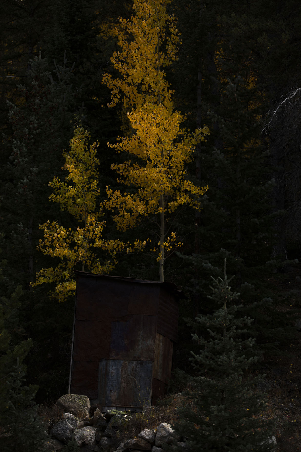 100219-news-fallcolors 22