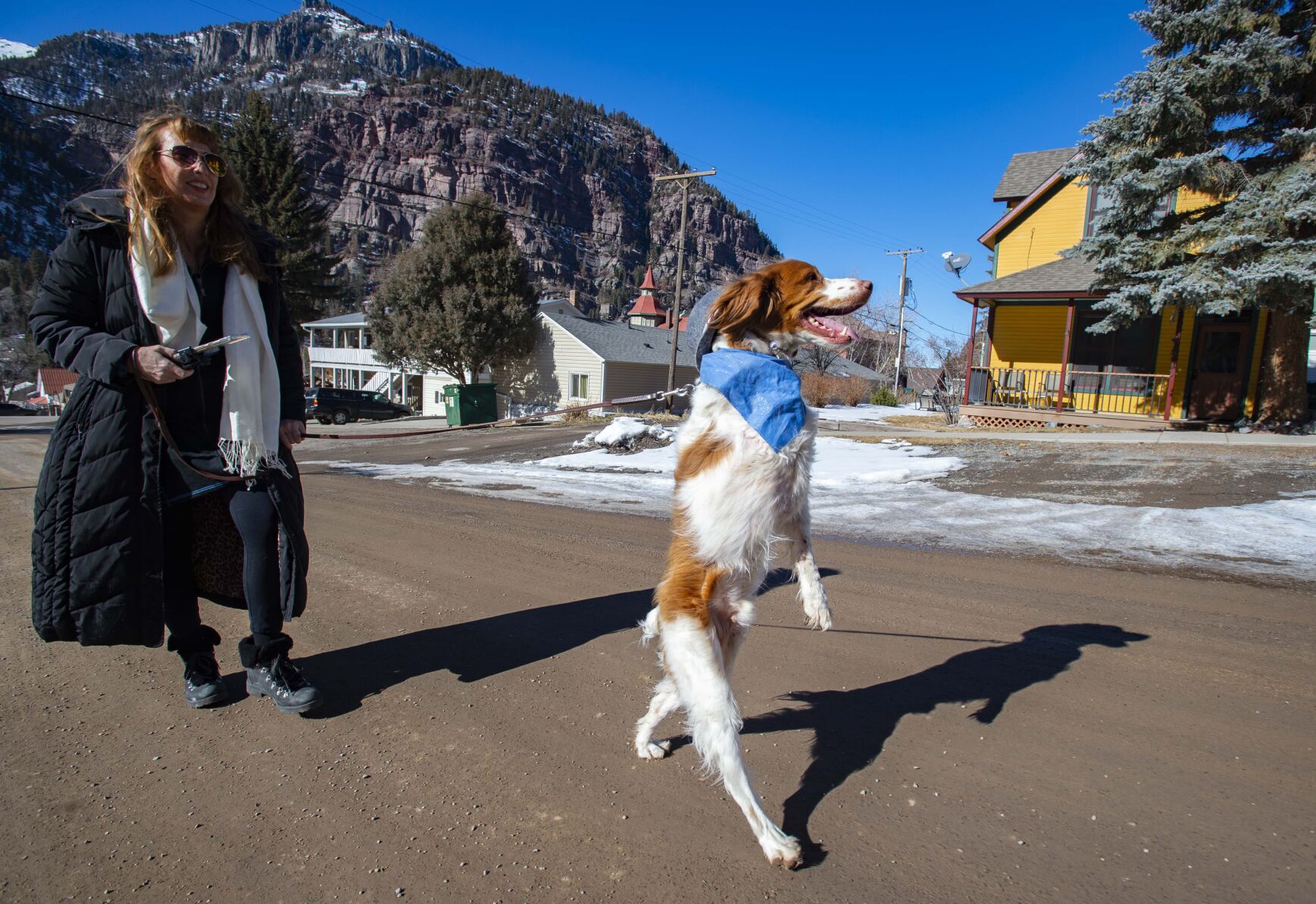 Walking dog clearance on two legs