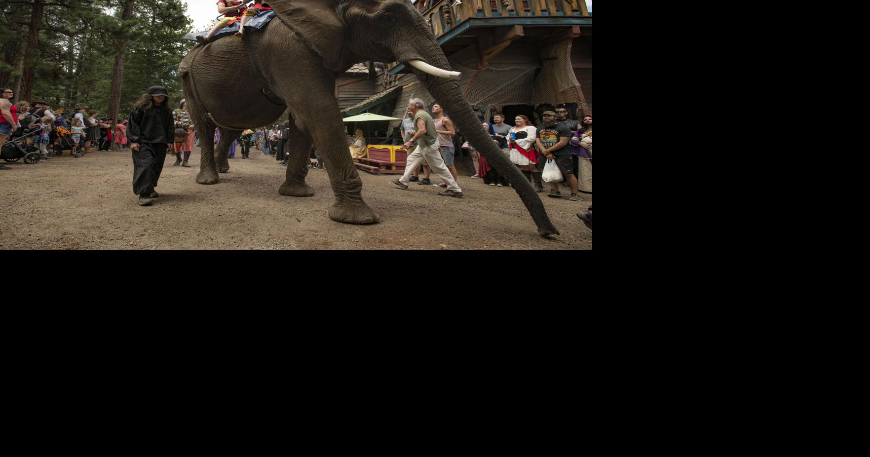 Colorado Renaissance Festival returns for 45th year of summertime