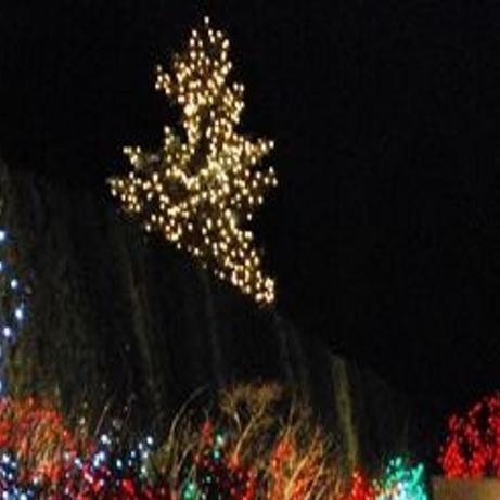 Denver Botanic Gardens Light Up Winter Nights Colorado Springs