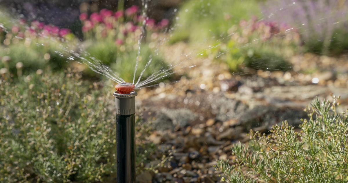 Colorado Springs weighing new residential landscaping standards to preserve water | Subscriber-Only Content Colorado Springs weighing new residential landscaping standards to preserve water | Subscriber-Only Content