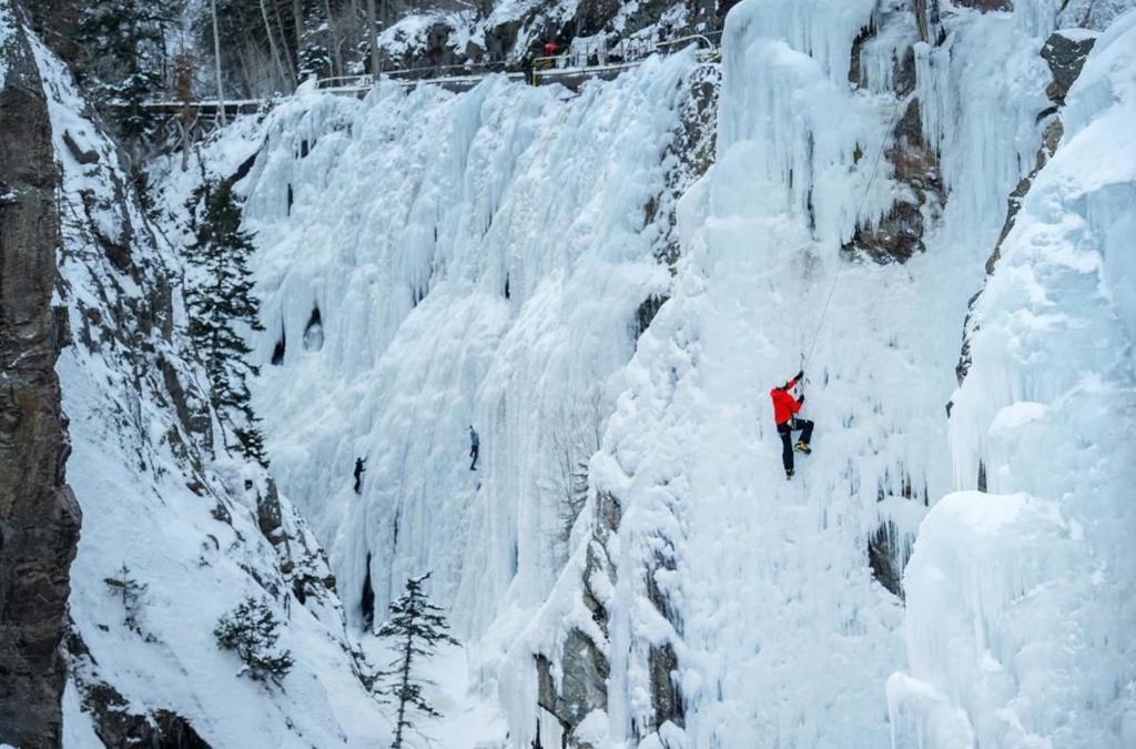 Snow Sculptures Beer Frozen Corpses And Ski Joring Looking