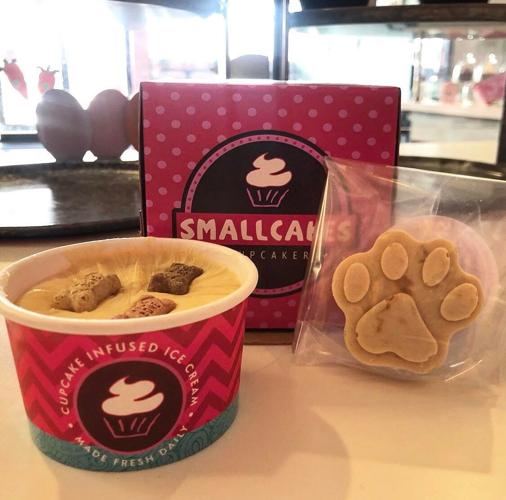 Colorado Springs shops offer pup cups, pupcakes and more for pets