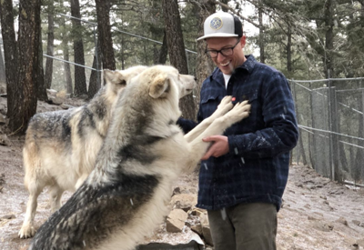 Rocky Mountain Wildlife Foundation Wolf Sanctuary In Guffey To