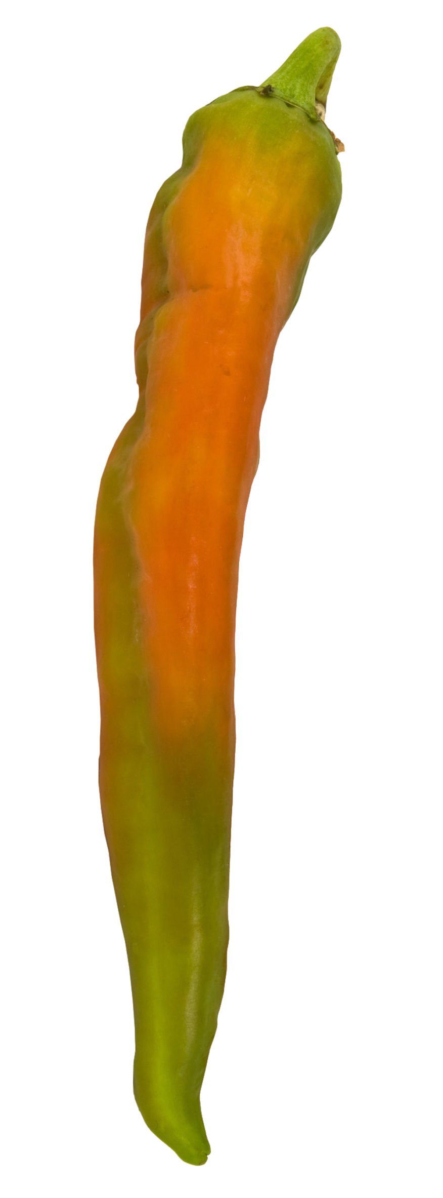 Pueblo green chili takes spotlight at festival in its honor Food