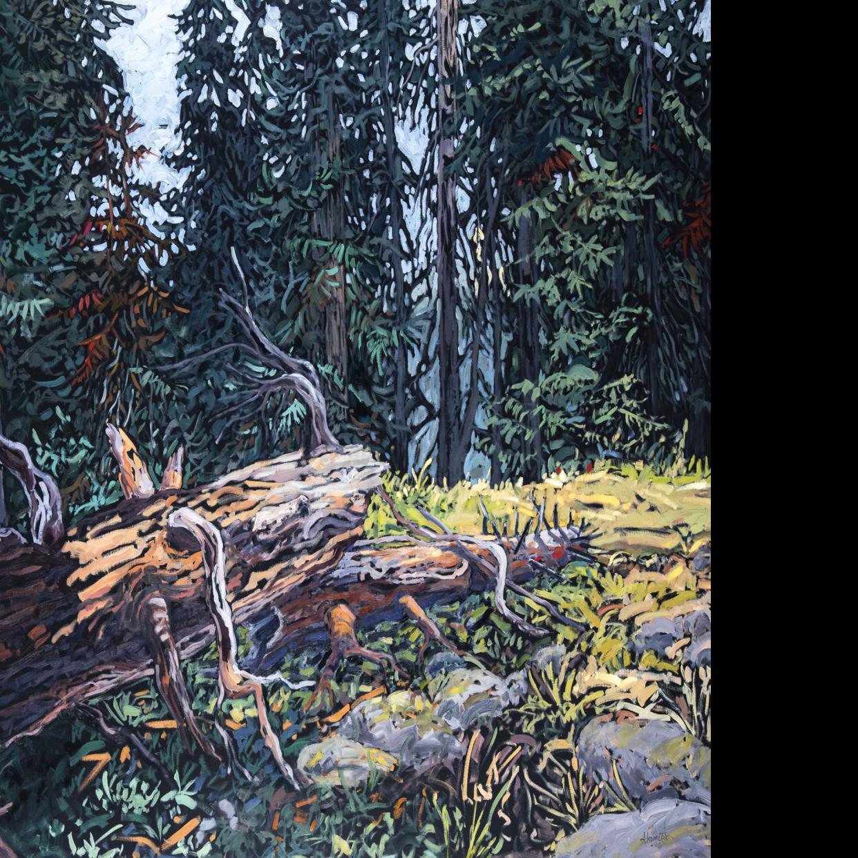 Colorado Springs Artist Seeks Solace In Painting Trees Forests