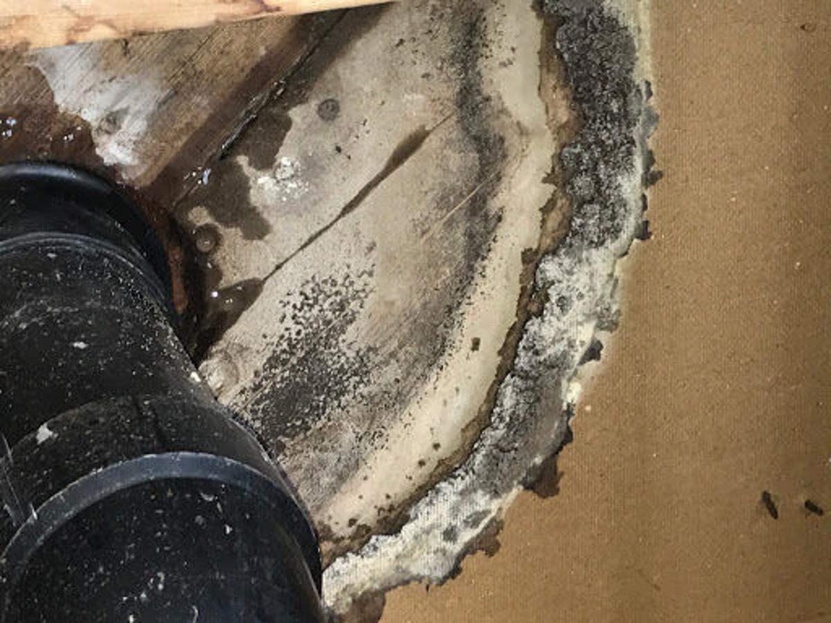 Colorado Springs Tenants Facing Mold Hazards Left Out In The Cold Business Gazette Com