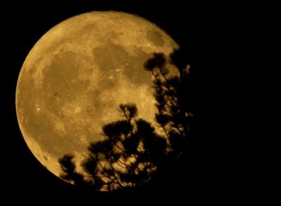 full moon.jpg