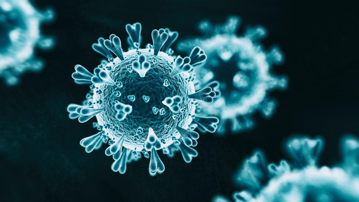 Coronavirus In Colorado Live Updates Four Boulder Residents