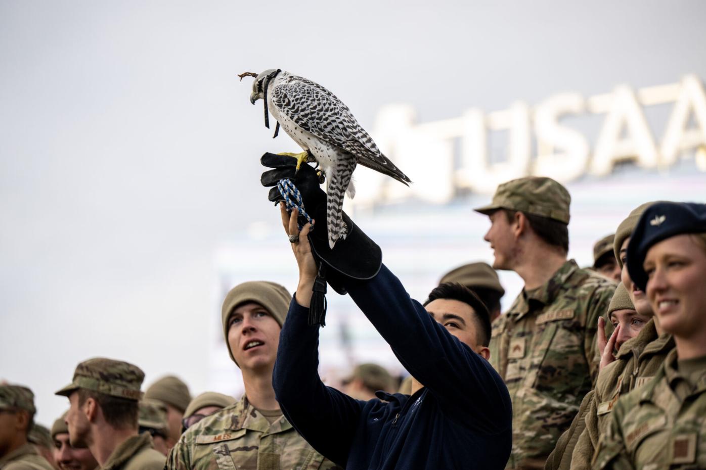 USAFA's cadet falconers thrill home crowds with live, flying mascots, Subscriber Content