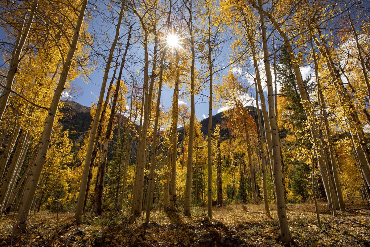 100219-news-fallcolors 08