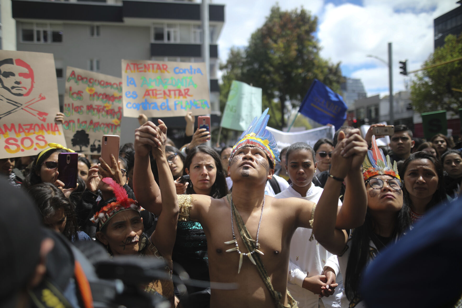 Efforts To Combat Deforestation In Colombia Hindered Because Of Armed ...