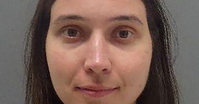 Russian scientist at Harvard released on bail while awaiting US smuggling trial