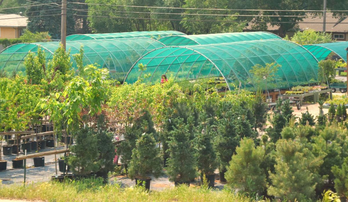 Rick S Garden Center A One Stop Location For Your Whole Garden