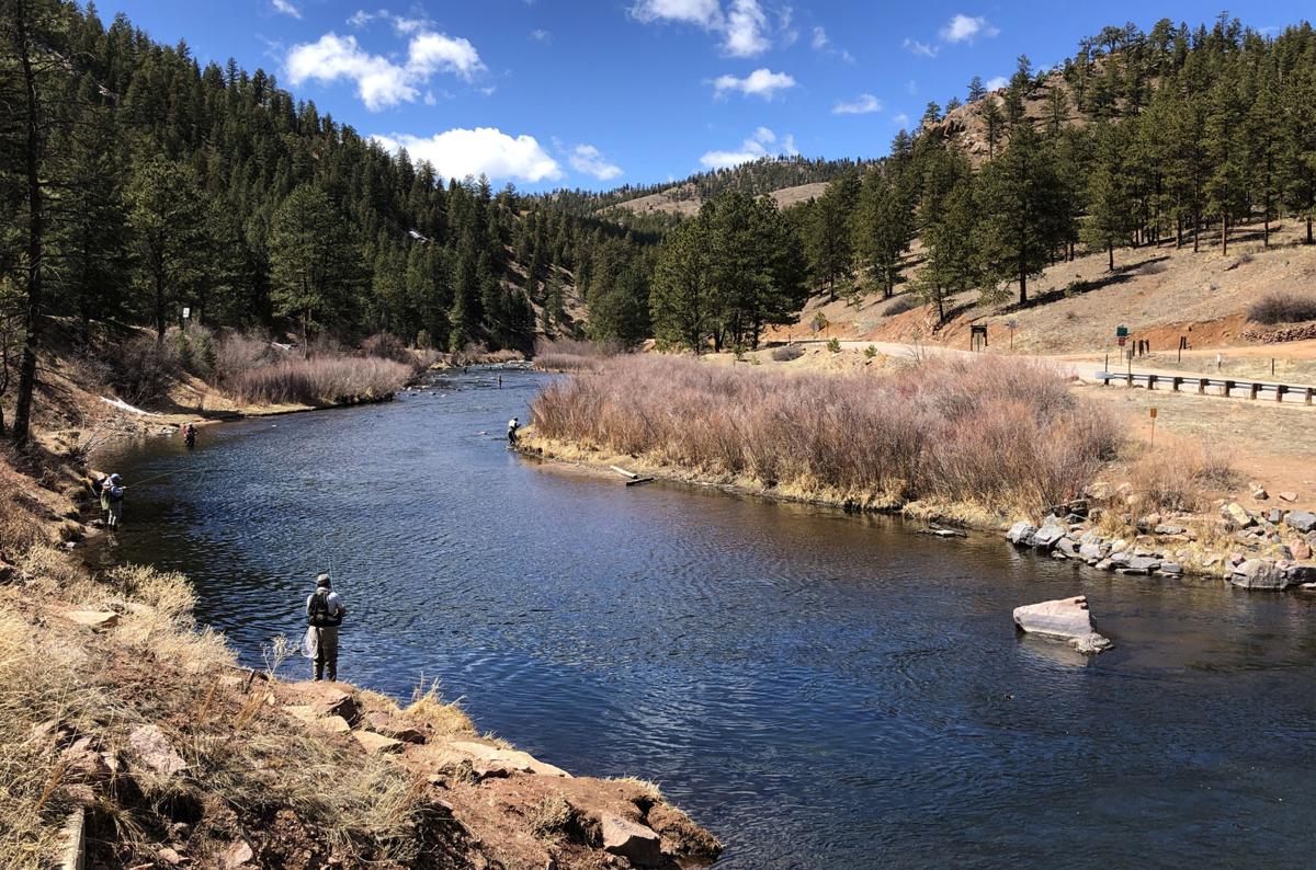 Hunting Applications Fishing Licenses In Colorado Increase Amid Pandemic Lifestyle Gazette Com
